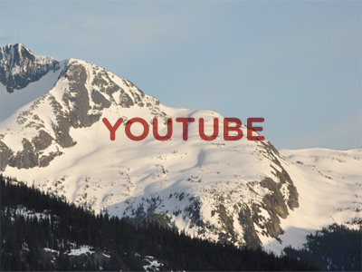 手机号轰在线网页版入口